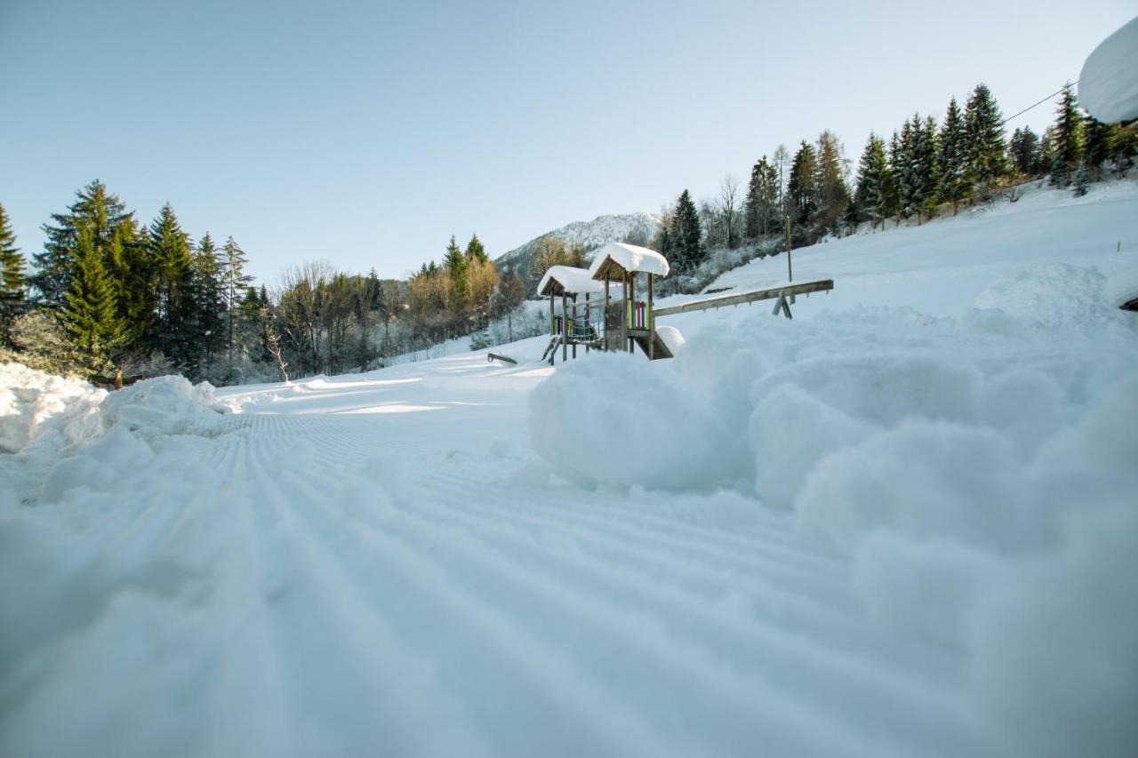 Chalets Und Apartments Hauserhof Nassfeld Schlanitzen Екстериор снимка