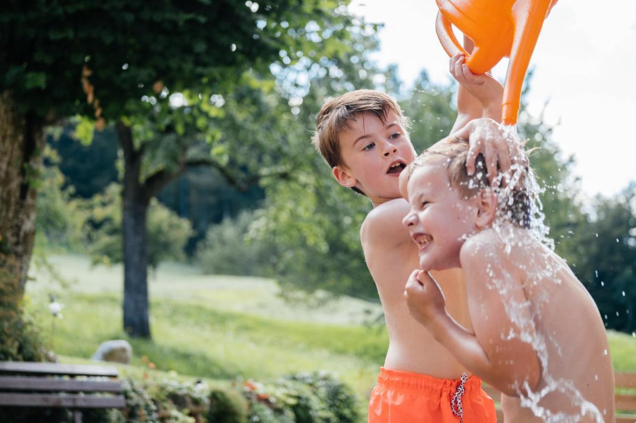 Chalets Und Apartments Hauserhof Nassfeld Schlanitzen Екстериор снимка