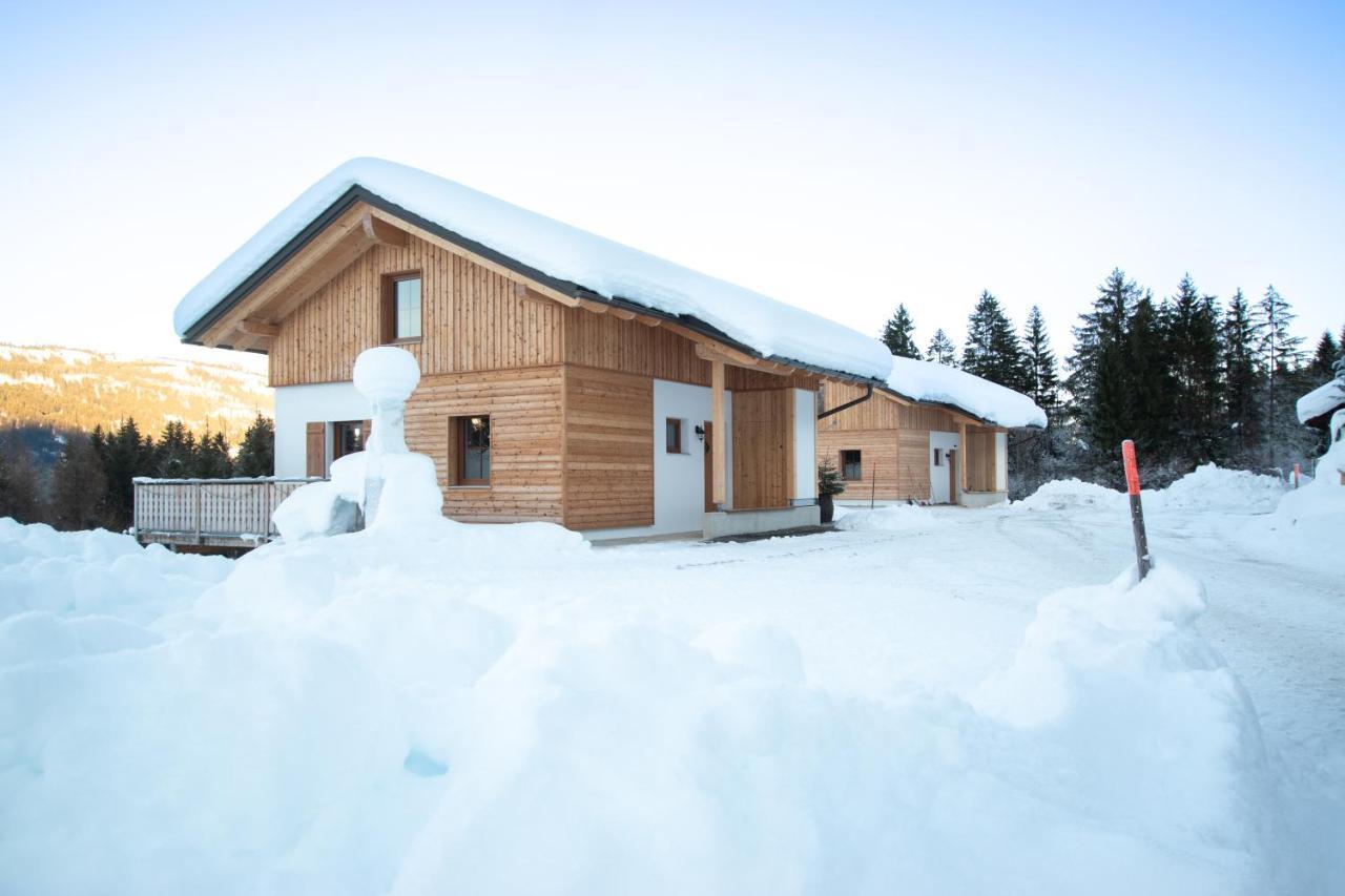 Chalets Und Apartments Hauserhof Nassfeld Schlanitzen Екстериор снимка