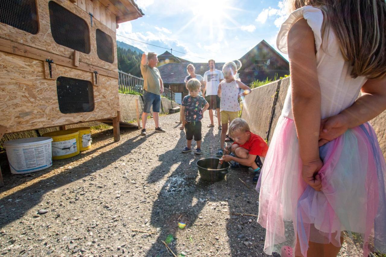 Chalets Und Apartments Hauserhof Nassfeld Schlanitzen Екстериор снимка